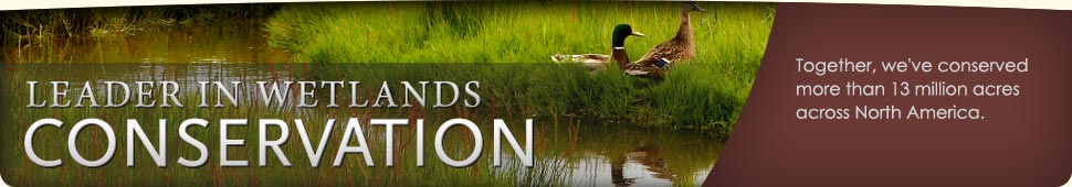 Ducks Unlimited: Leader in Wetlands Conservation