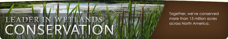 Ducks Unlimited: Leader in Wetlands Conservation