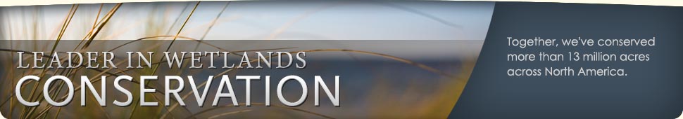 Ducks Unlimited: Leader in Wetlands Conservation