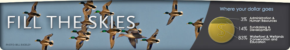 Ways to Support Ducks Unlimited