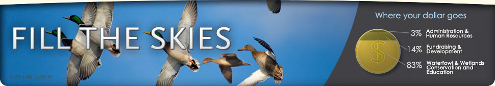 Ways to Support Ducks Unlimited