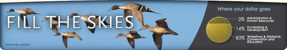 Ways to Support Ducks Unlimited