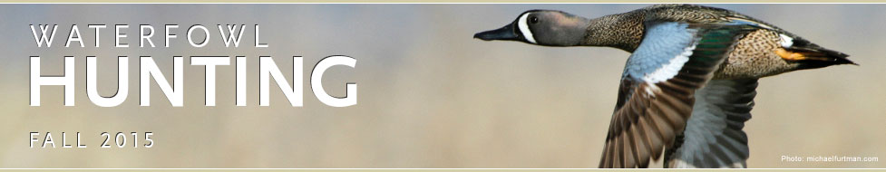 Ducks Unlimited: Waterfowl Hunting Headquarters