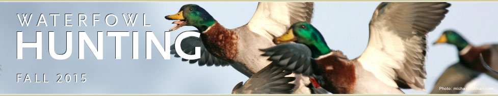 Ducks Unlimited: Waterfowl Hunting Headquarters