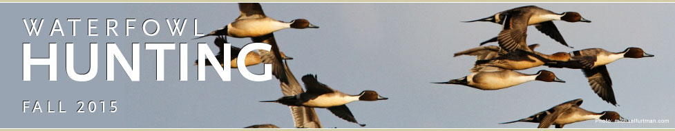 Ducks Unlimited: Waterfowl Hunting Headquarters