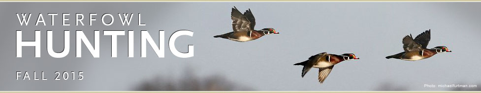 Ducks Unlimited: Waterfowl Hunting Headquarters