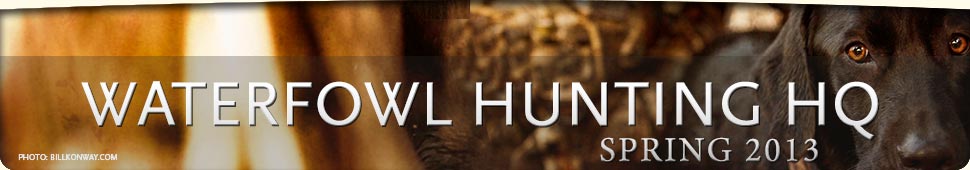 Ducks Unlimited: Waterfowl Hunting Headquarters