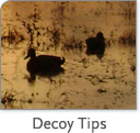 Duck Decoy Spreads and Tips