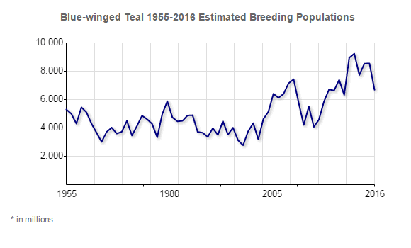 Blue Wing Teal Population