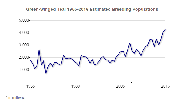 Green Wing Teal Population