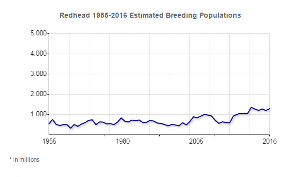 Redhead Population