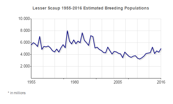 Lesser Scaup Population