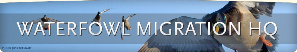 Ducks Unlimited: Waterfowl Migration Headquarters